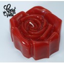 rosa rossa